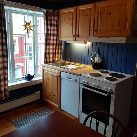 Apartment Houmbgaarden Roros