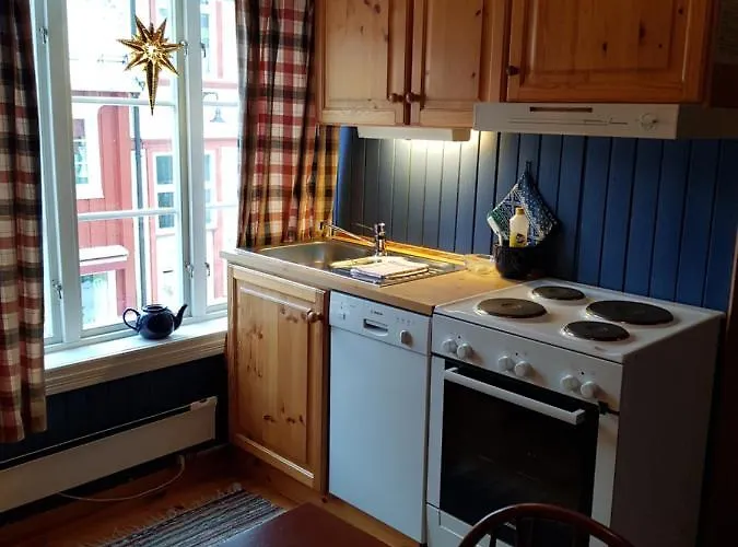 Apartman Houmbgaarden Røros